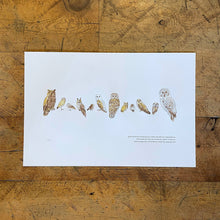 Load image into Gallery viewer, A Few Owls Letterpress Print | Susan Porteous (OR)
