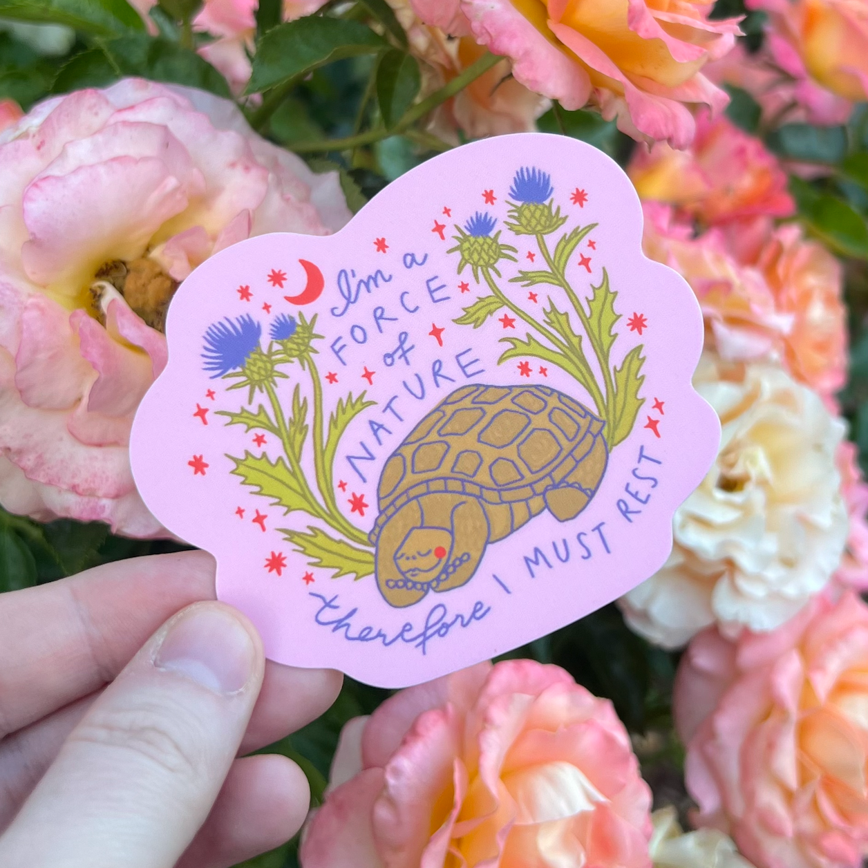 Turtle Time Vinyl Sticker | Hannah Hunt (OR)