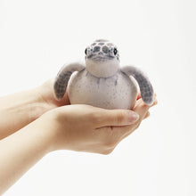 Load image into Gallery viewer, Baby Sea Turtle Plush Pouch | You + More (Japan)