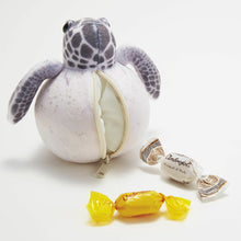 Load image into Gallery viewer, Baby Sea Turtle Plush Pouch | You + More (Japan)