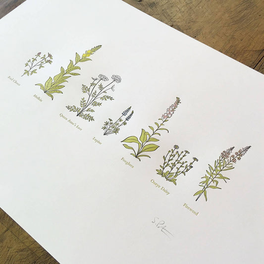 A Few Wildflowers Letterpress Print | Susan Porteous (OR)