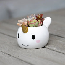 Load image into Gallery viewer, Narwhal Planter Pot