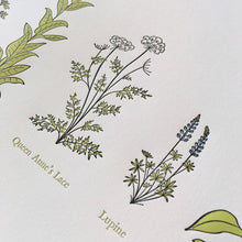 Load image into Gallery viewer, A Few Wildflowers Letterpress Print | Susan Porteous (OR)