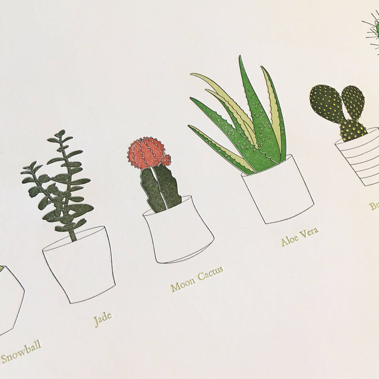 A Few Succulents/Cacti Letterpress Print | Susan Porteous (OR) (12” × 18”)