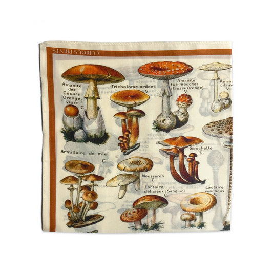 Silk Mushroom Scarf | Curious Prints (TX)