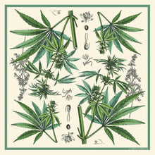 Load image into Gallery viewer, Silk Cannabis Scarf | Curious Prints (TX)