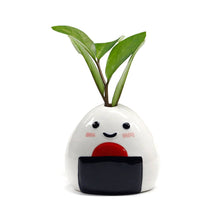Load image into Gallery viewer, Onigiri Ceramic Mini Vase | Umeboshi Smile (Japan)
