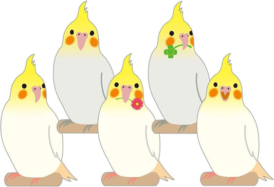 Cockatiel Memo Pad | Greeting Life (Japan)