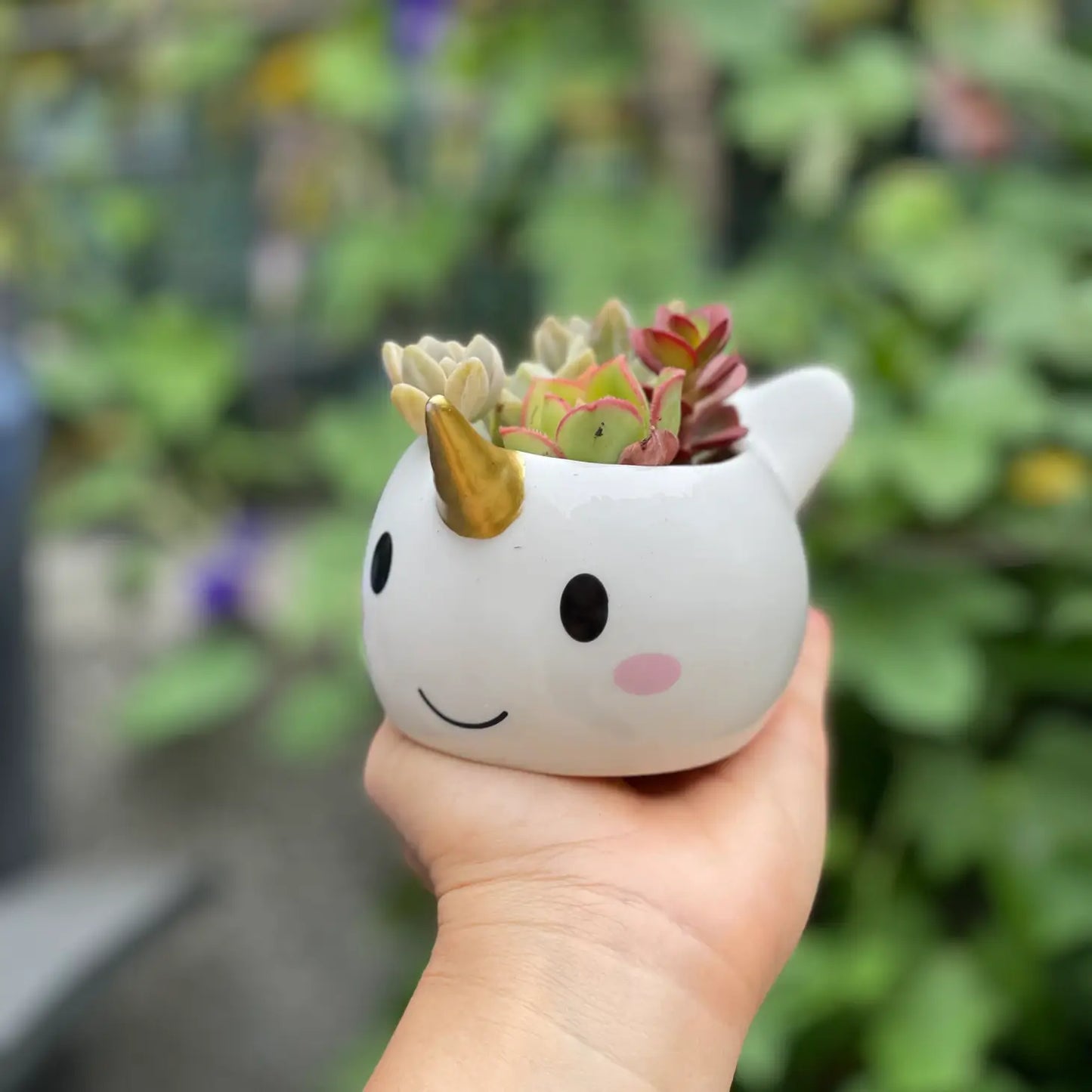 Narwhal Planter Pot
