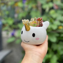 Load image into Gallery viewer, Narwhal Planter Pot