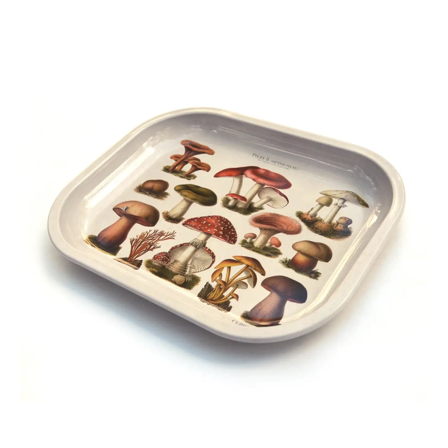 Tan Mushroom Ritual Tray | Curious Prints (TX)