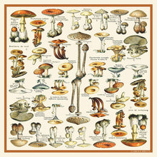 Load image into Gallery viewer, Silk Mushroom Scarf | Curious Prints (TX)