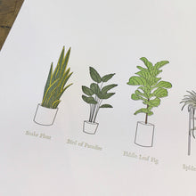 Load image into Gallery viewer, A Few Houseplants Letterpress Print | Susan Porteous (OR)