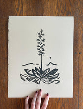 Load image into Gallery viewer, Agave Linocut Print | Ellen Orchard (TX)