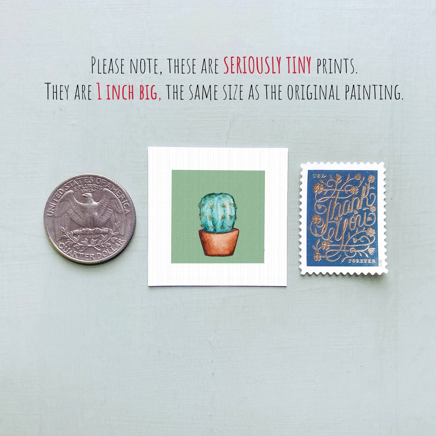 Cactus Mini Art Print | Mick’s Art Goods (WA)