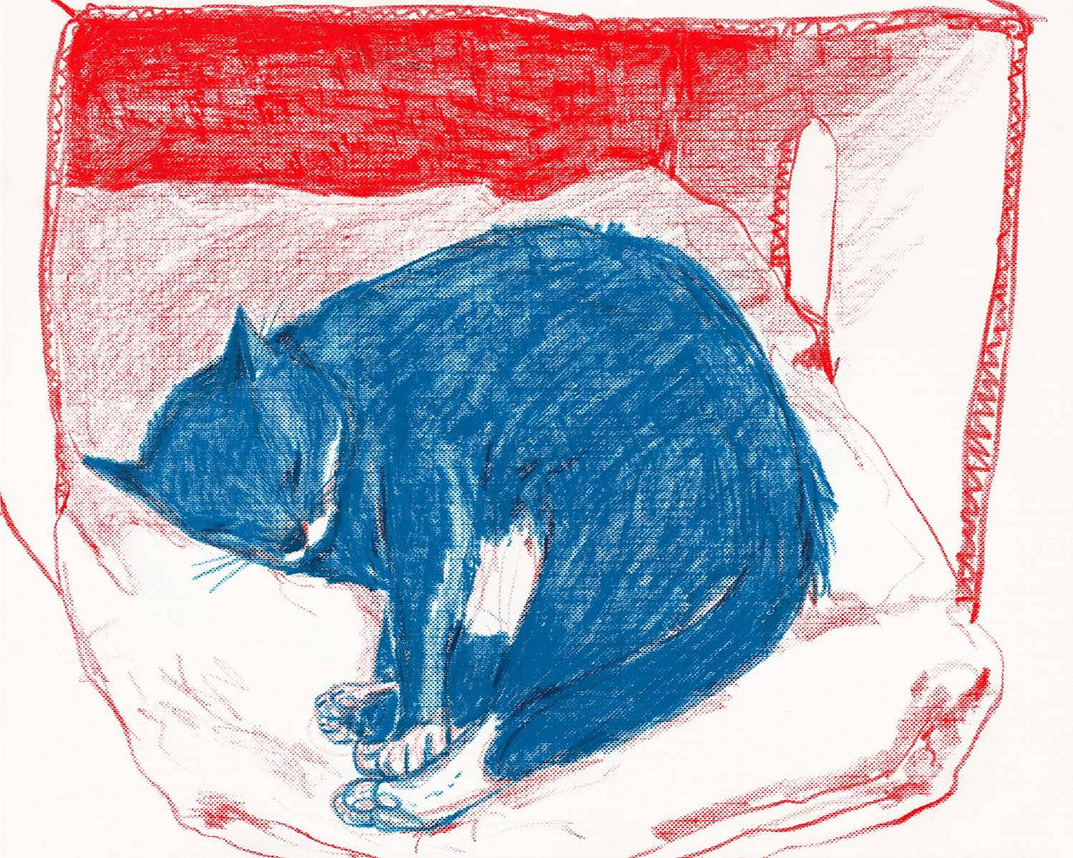 Pepper in His Box Art Print | Rebekah Evans (NC)