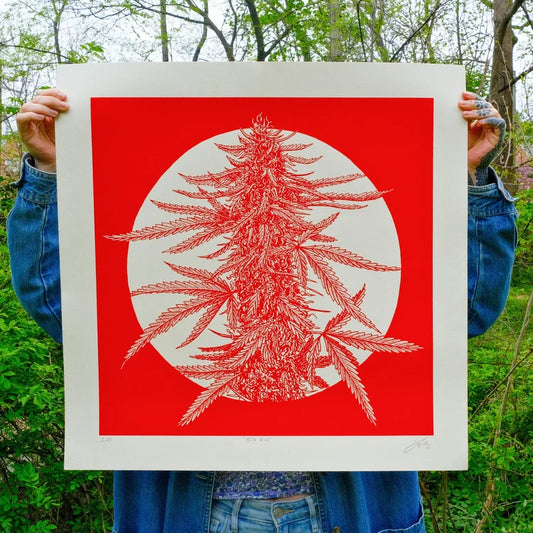Big Bud Screenprint | Luke Martin (MD)