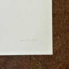 Load image into Gallery viewer, Little Birds Splashing Screen Print | Daria Tessler (OR)