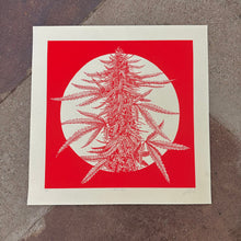 Load image into Gallery viewer, Big Bud Screenprint | Luke Martin (MD)