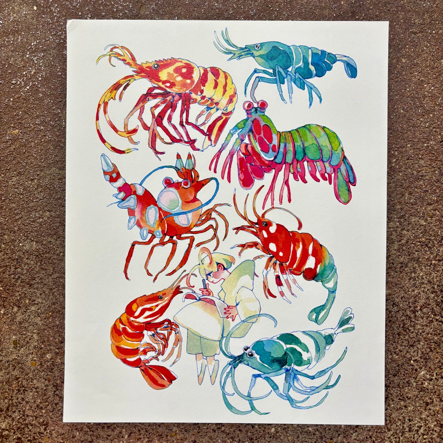 Shrimp! Art Print | Koyamori (CAN)