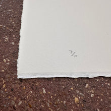 Load image into Gallery viewer, Rodeo III Screenprint | Kylie Chan (Hong Kong)