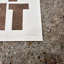 Load image into Gallery viewer, Got 'Shit Risograph Print | We Are 1976 (TX)