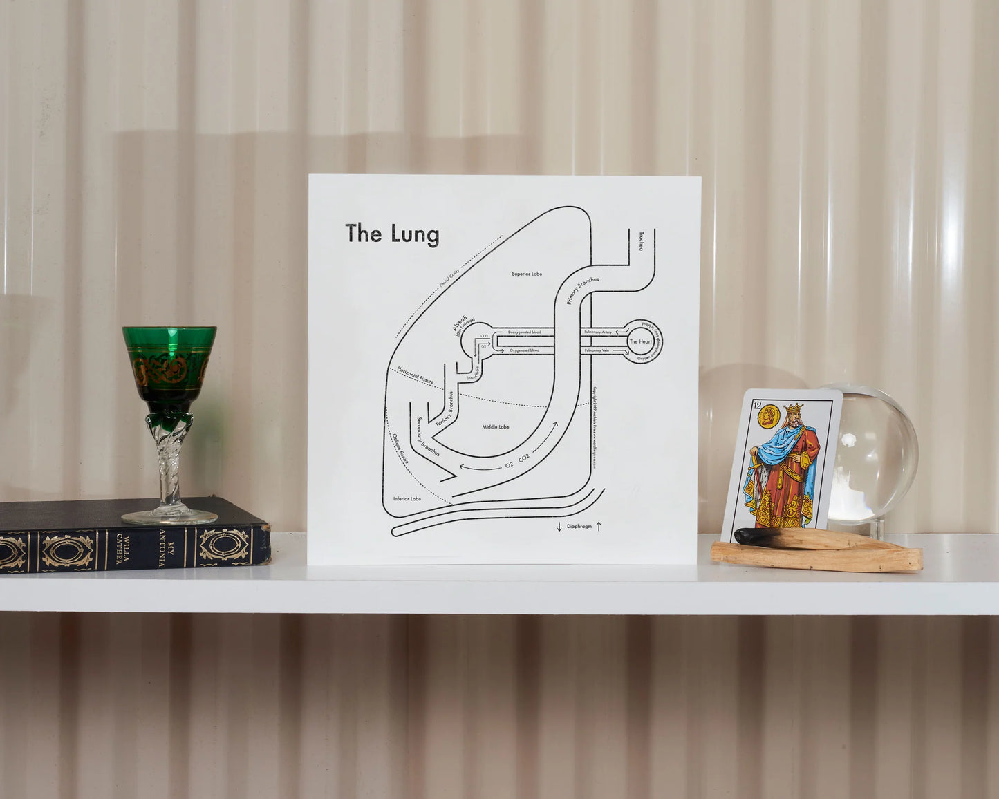 Lung | Archie’s Press (NY)
