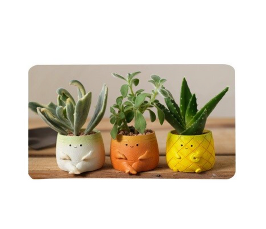 Carrot Mini Planter (Japan)