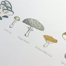 Load image into Gallery viewer, A Few Mushrooms Letterpress Print | Susan Porteous (OR)