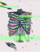 Load image into Gallery viewer, Anomaly Anatomy Art Print | Trisha Thompson Adams (OK)