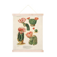 Load image into Gallery viewer, Botanical Cactus Print | Curious Prints (TX)