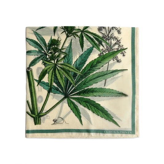 Silk Cannabis Scarf | Curious Prints (TX)