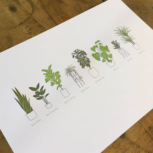 A Few Houseplants Letterpress Print | Susan Porteous (OR)
