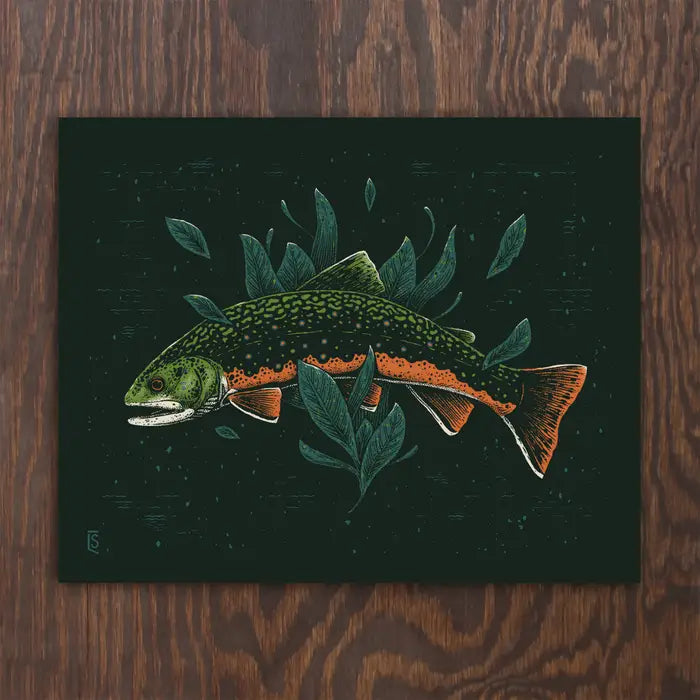 Brook Trout | Logan Schmitt (WV)