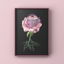 Load image into Gallery viewer, Floral Eye Anatomy Art Print | Trisha Thompson Adams (OK)
