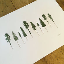 Load image into Gallery viewer, A Few Conifers Letterpress Print | Susan Porteous (OR)