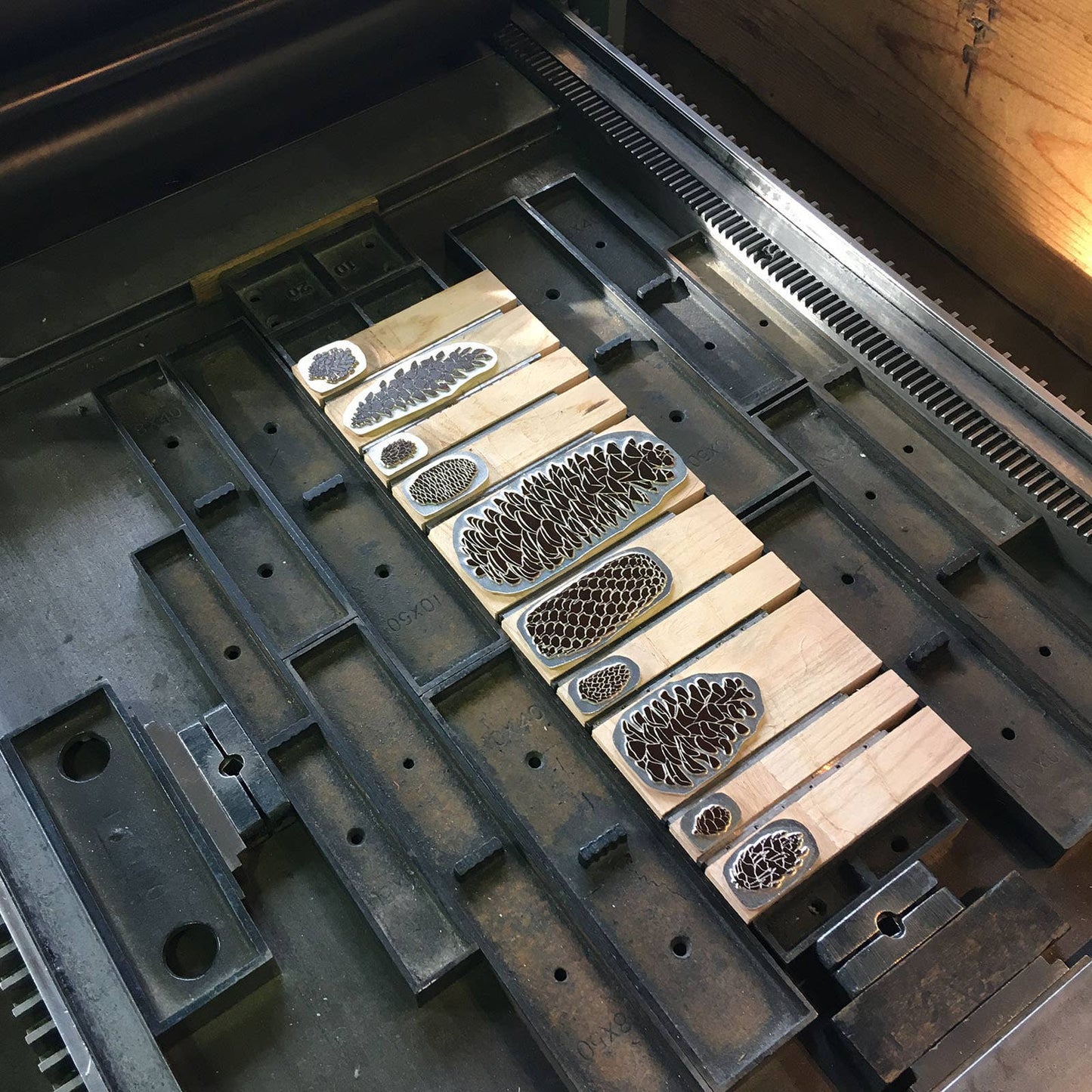 A Few Pine Cones Letterpress Print | Susan Porteous (OR)