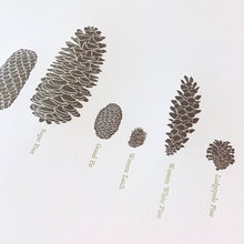 Load image into Gallery viewer, A Few Pine Cones Letterpress Print | Susan Porteous (OR)