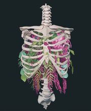 Load image into Gallery viewer, Floral Thoracic Cage Anatomy Art Print | Trisha Thompson Adams (OK)