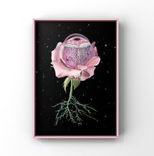 Load image into Gallery viewer, Floral Eye Anatomy Art Print | Trisha Thompson Adams (OK)