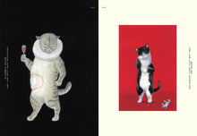 Load image into Gallery viewer, Felinity | An Anthology of Illustrated Cats from Around the World | Gingko Press (CA)