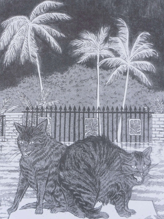 Desperate and Fearful Creatures | Sarah Welch (TX)
