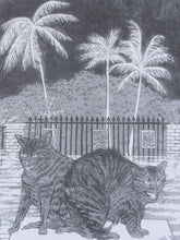 Load image into Gallery viewer, Desperate and Fearful Creatures | Sarah Welch (TX)