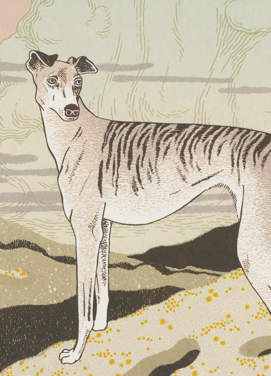 Greyhound | Daria Tessler (OR)
