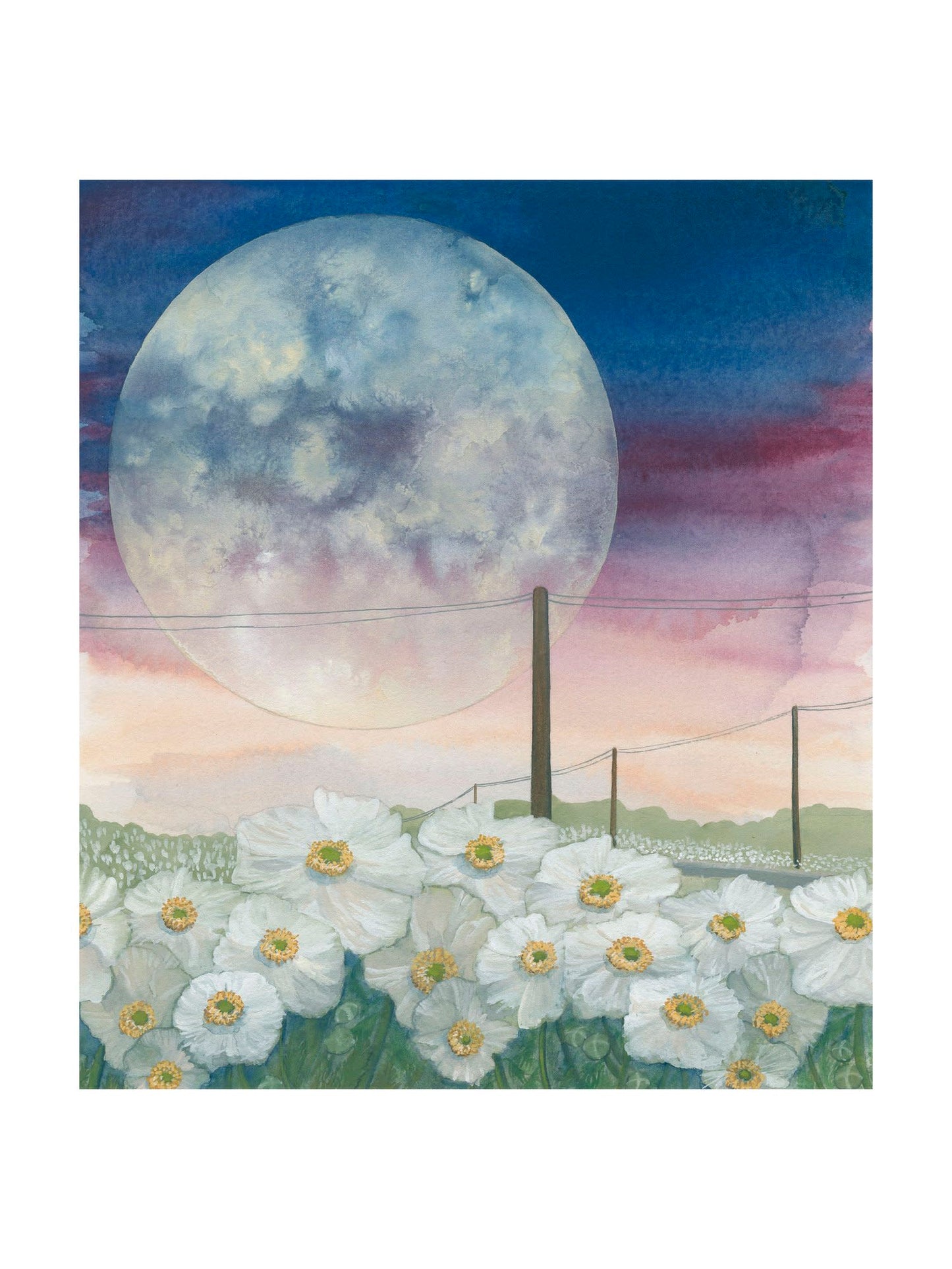 And Dance by the Light of the Moon | Heather Sundquist Hall (TX)