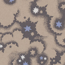 Load image into Gallery viewer, Ship in Star Clouds Screen Print | Daria Tessler (OR)