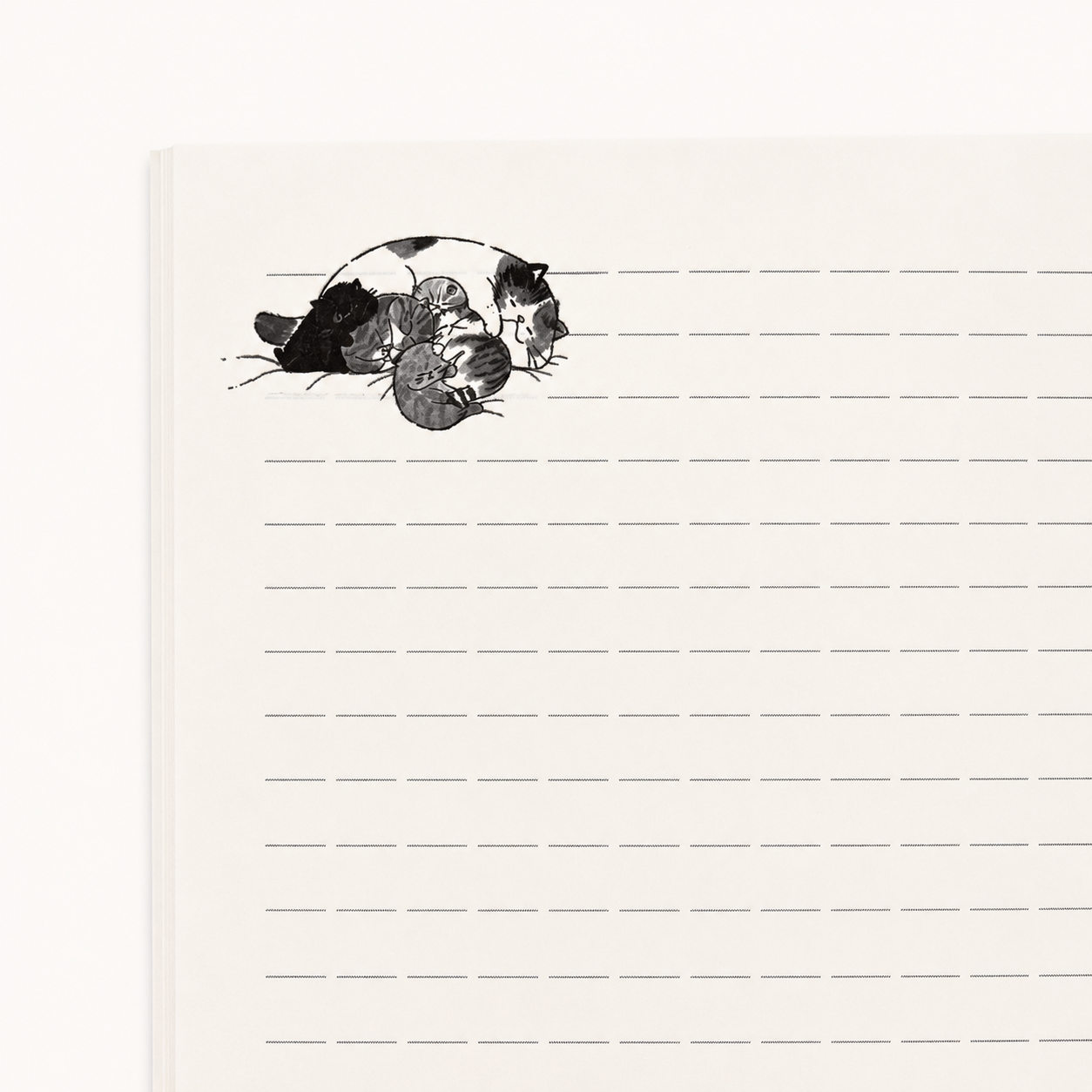 My Dear Exotic A5 Notebook | Suyasuyasu Neko | Shinzi Katoh (Japan)