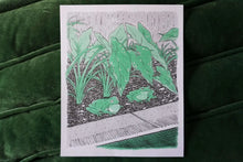 Load image into Gallery viewer, The Borderline | Sarah Welch (TX)