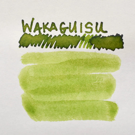 Shikiori Ink Bottle | Wakauguisu (Young Bush Warbler) | 20ml | Sailor (Japan)