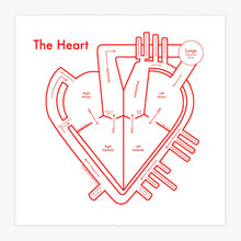 Load image into Gallery viewer, The Heart | Archie’s Press (OR)